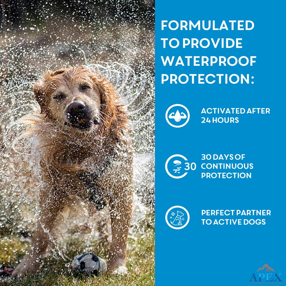 APEX Plus tick prevention being applied to a medium dog outdoors
