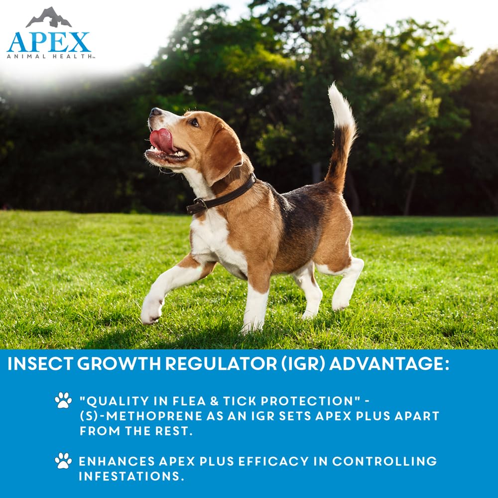 Apex Plus waterproof activation within 24 hours of application.