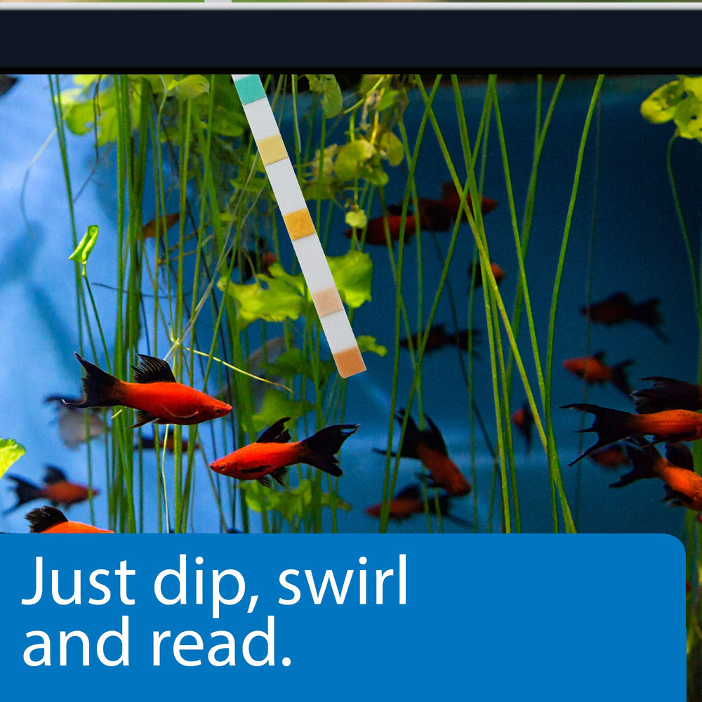 API 5-IN-1 test strips dip action showing fast water testing