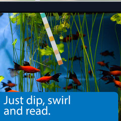 API 5-IN-1 test strips dip action showing fast water testing