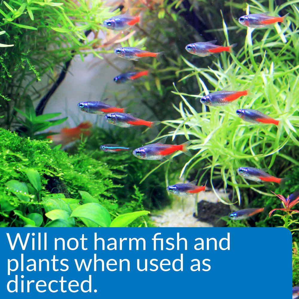 API ALGAEFIX in aquarium glass highlighting clean glass after treatment.