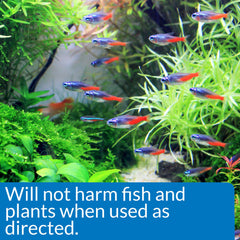 API ALGAEFIX in aquarium glass highlighting clean glass after treatment.