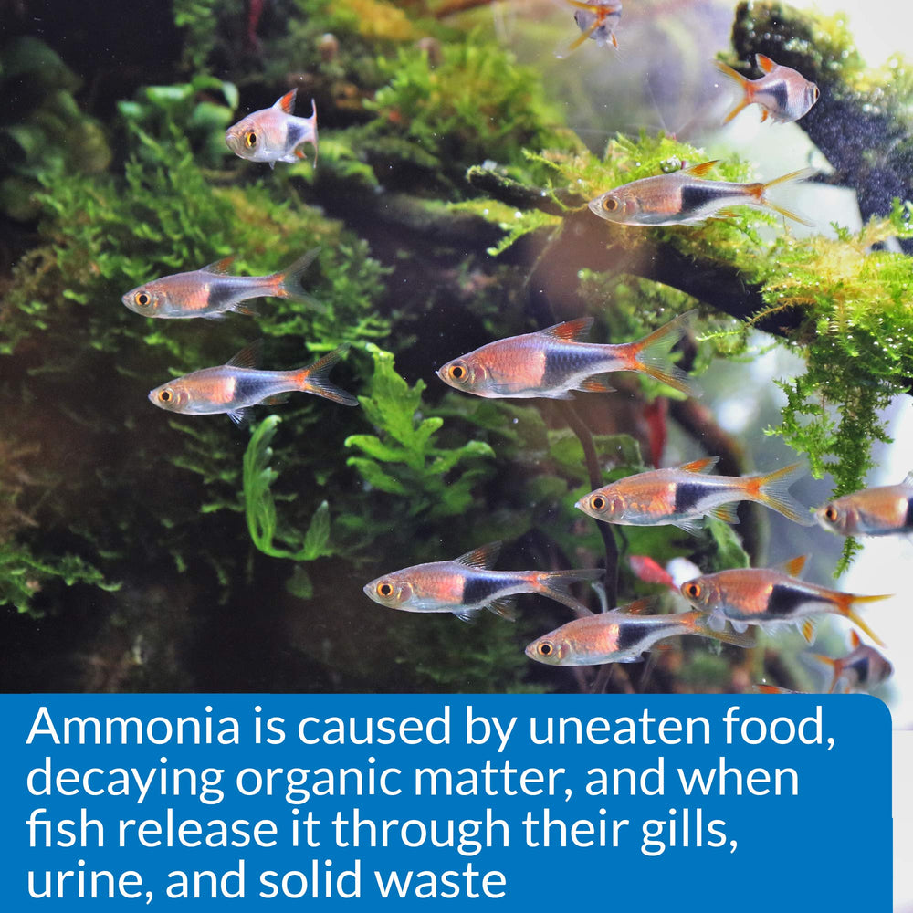 API Ammonia 130-Test kit usage steps for monitoring aquarium health.