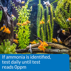 API ammonia test strips colour chart guides easy reading