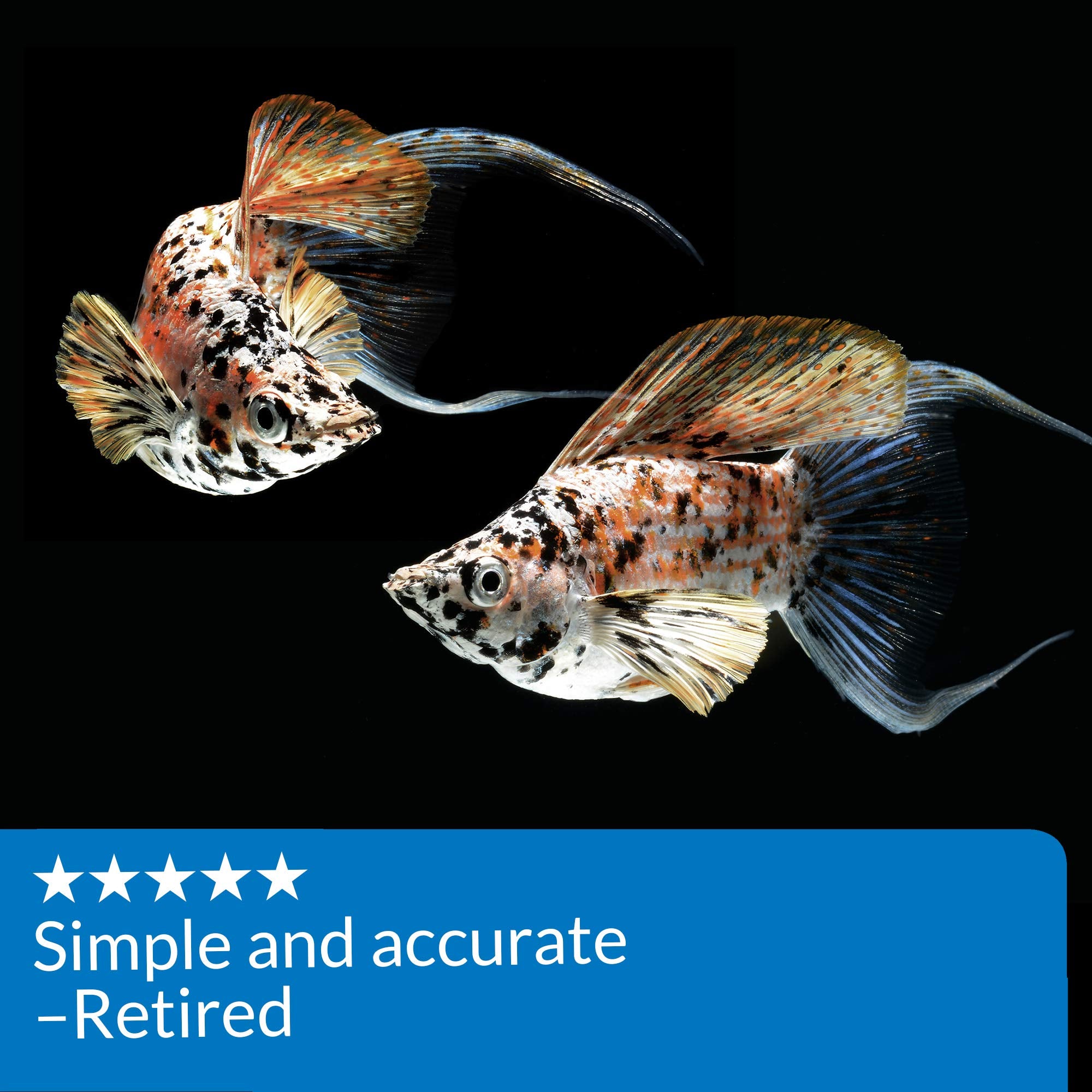 API ammonia test strips compatible with freshwater and saltwater