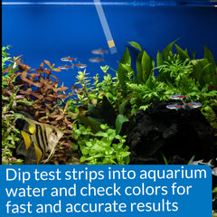 API ammonia test strips usage guide for new tanks
