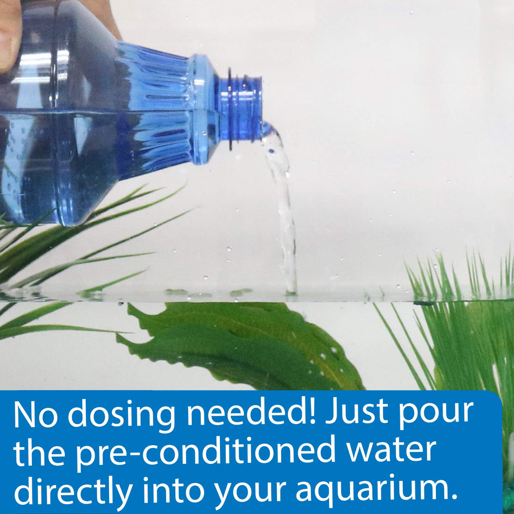 API Betta Water pre-conditioned water saves time during weekly water changes.