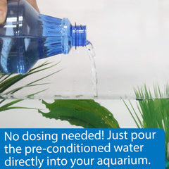 API Betta Water pre-conditioned water saves time during weekly water changes.