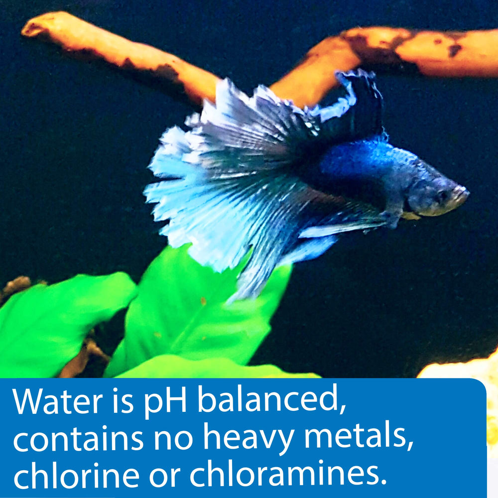 API Betta Water ready-to-use formula keeps Betta tanks simple and stress-free.