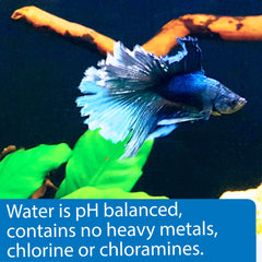 API Betta Water ready-to-use formula keeps Betta tanks simple and stress-free.