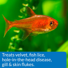 API General Cure powder dissolving in water to treat parasites in aquariums.
