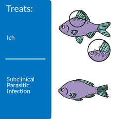 Dosing steps for API Liquid Super ICK Cure in freshwater and saltwater tanks.