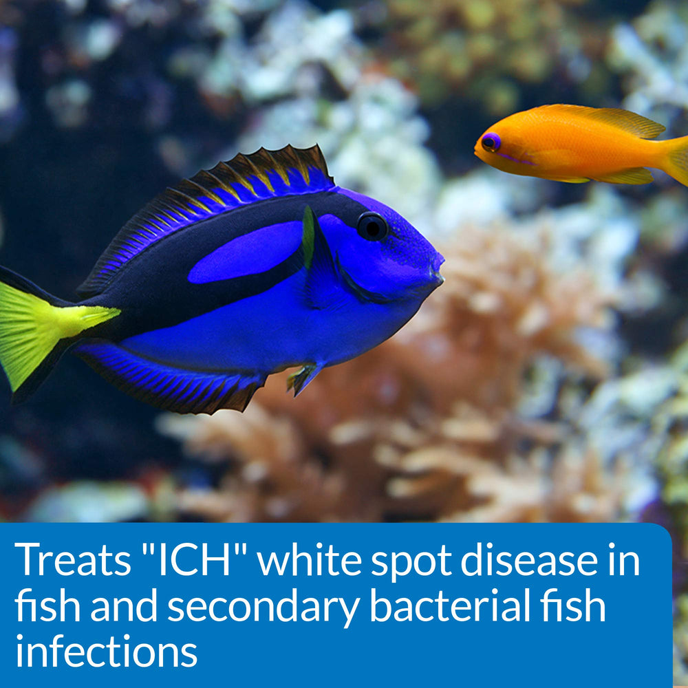Reef warning: API Liquid Super ICK Cure not recommended for reef aquariums with invertebrates.
