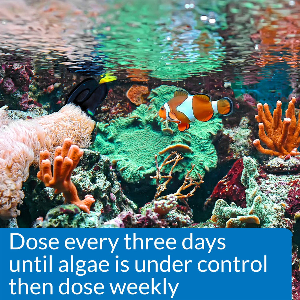 API Marine Algaefix being dosed for algae control in aquarium