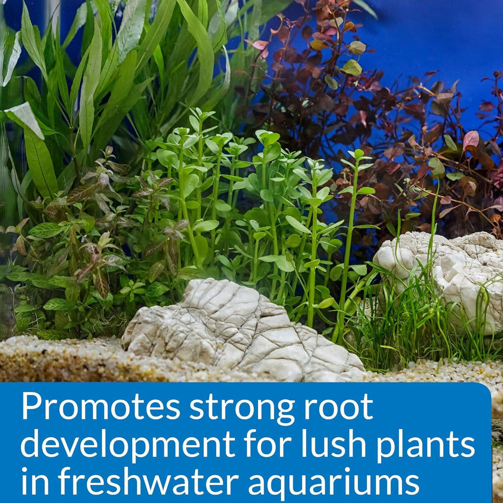 API root tabs aid new plant establishment in substrate