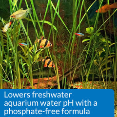 API pH Down in an aquarium scene readying balanced pH