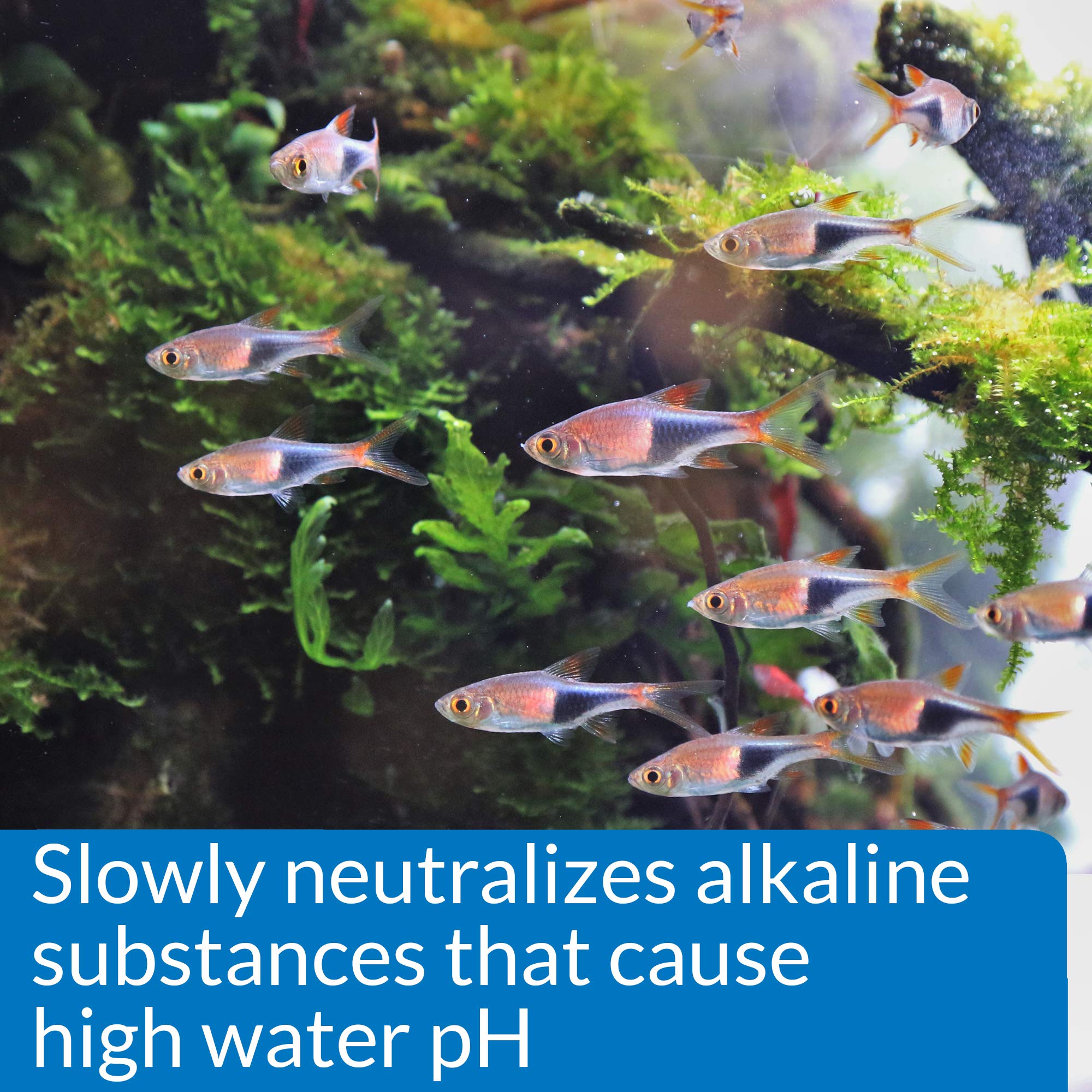 API pH Down dosing action supports gradual, controlled pH changes