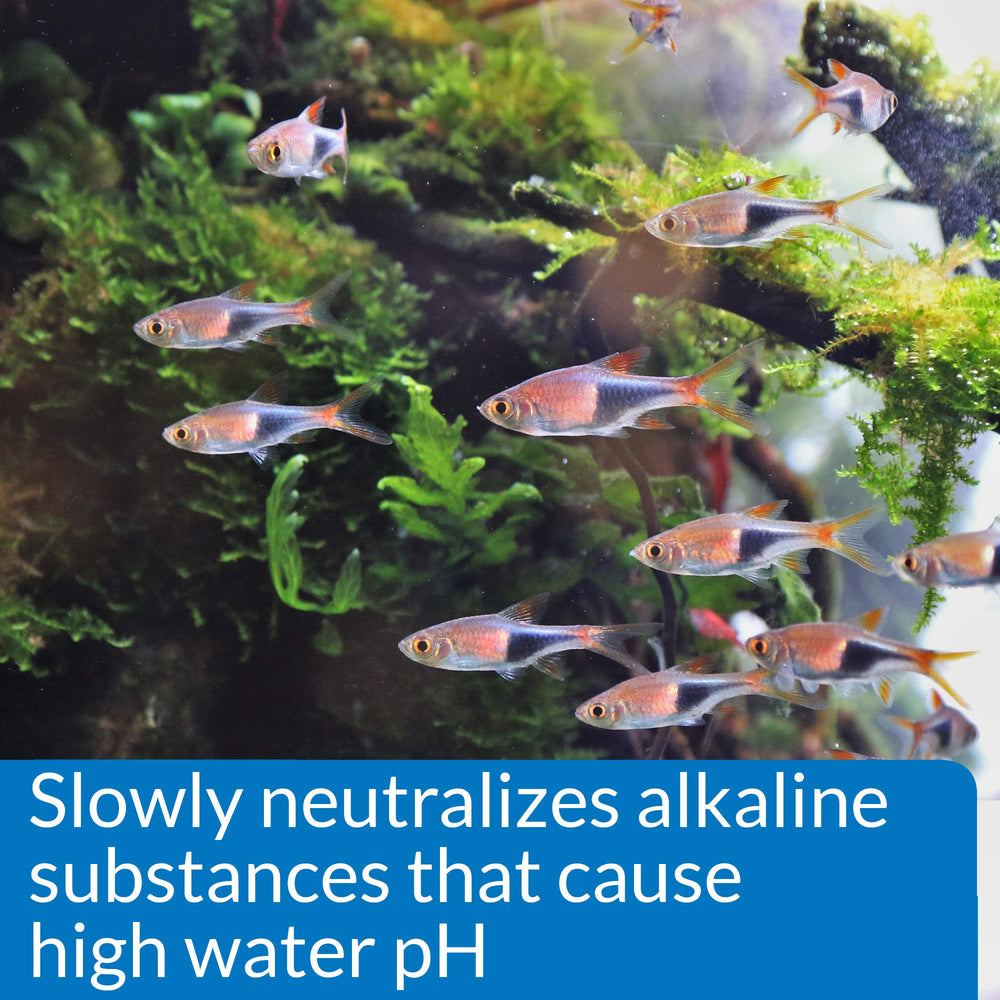 API pH Down dosing action supports gradual, controlled pH changes