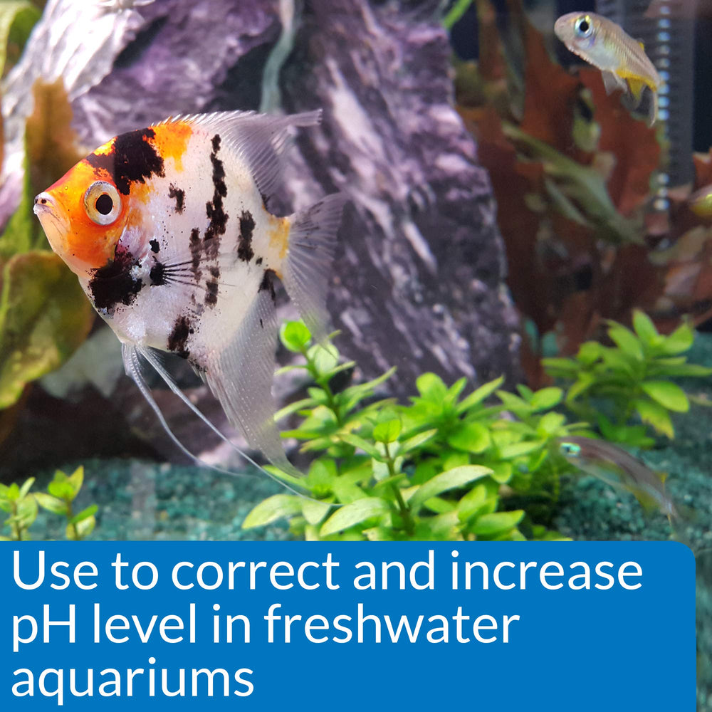 API pH UP freshwater bottle front label shows safe pH adjustment for plants