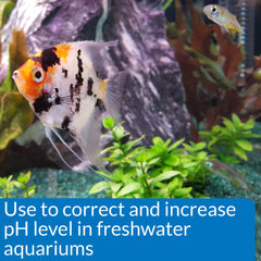 API pH UP freshwater bottle front label shows safe pH adjustment for plants