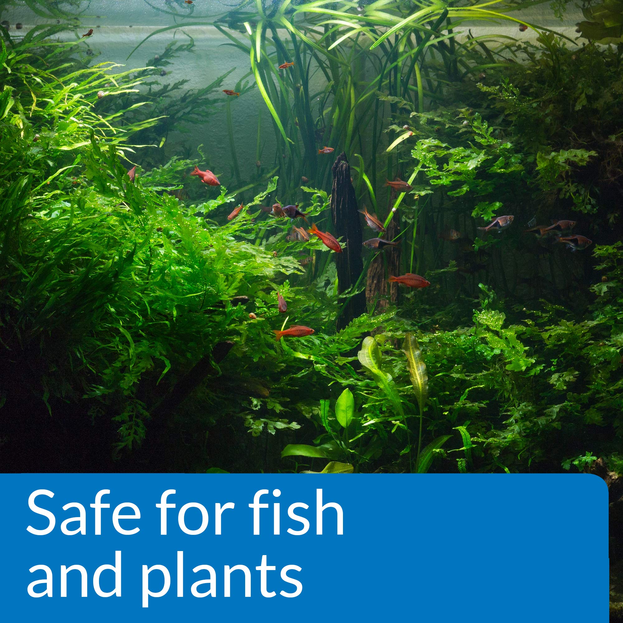 API pH UP solution label indicating phosphate-free formula benefits plants and fish