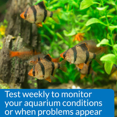 API Phosphate Test Kit readout showing phosphate concentration in aquarium water.