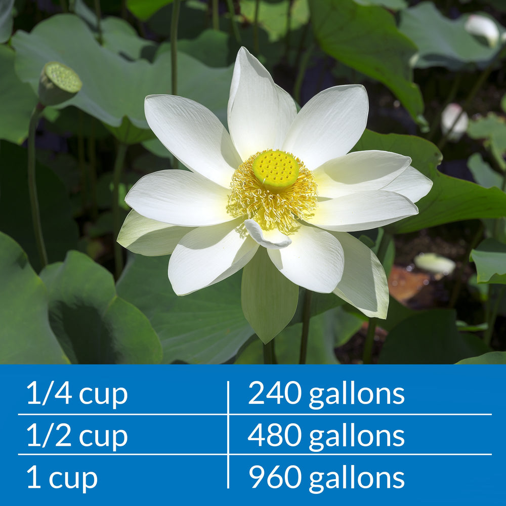 API POND AMMO-LOCK application being added to pond water