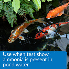 API POND AMMO-LOCK bottle pour demonstrates ammonia detoxification for fish
