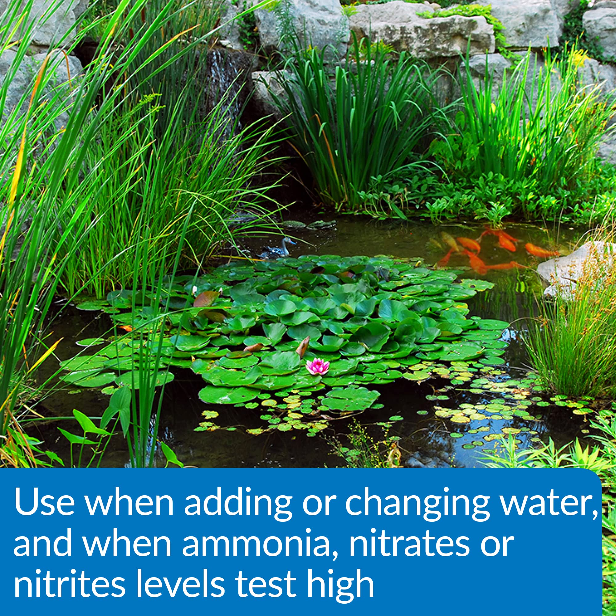 API Pond Aqua Essential improves clear water and fish comfort in ponds