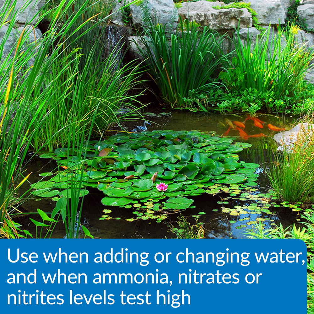 API Pond Aqua Essential improves clear water and fish comfort in ponds