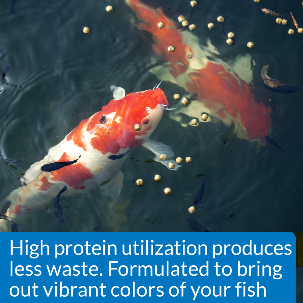 API POND COOL WATER FOOD being fed in a calm pond shows 5–10 minute intake.