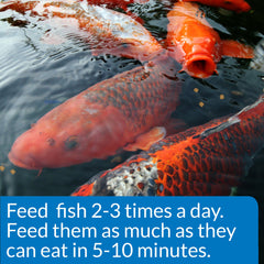 API POND COOL WATER FOOD packaging highlights 1.4 lb bag for pond setup.