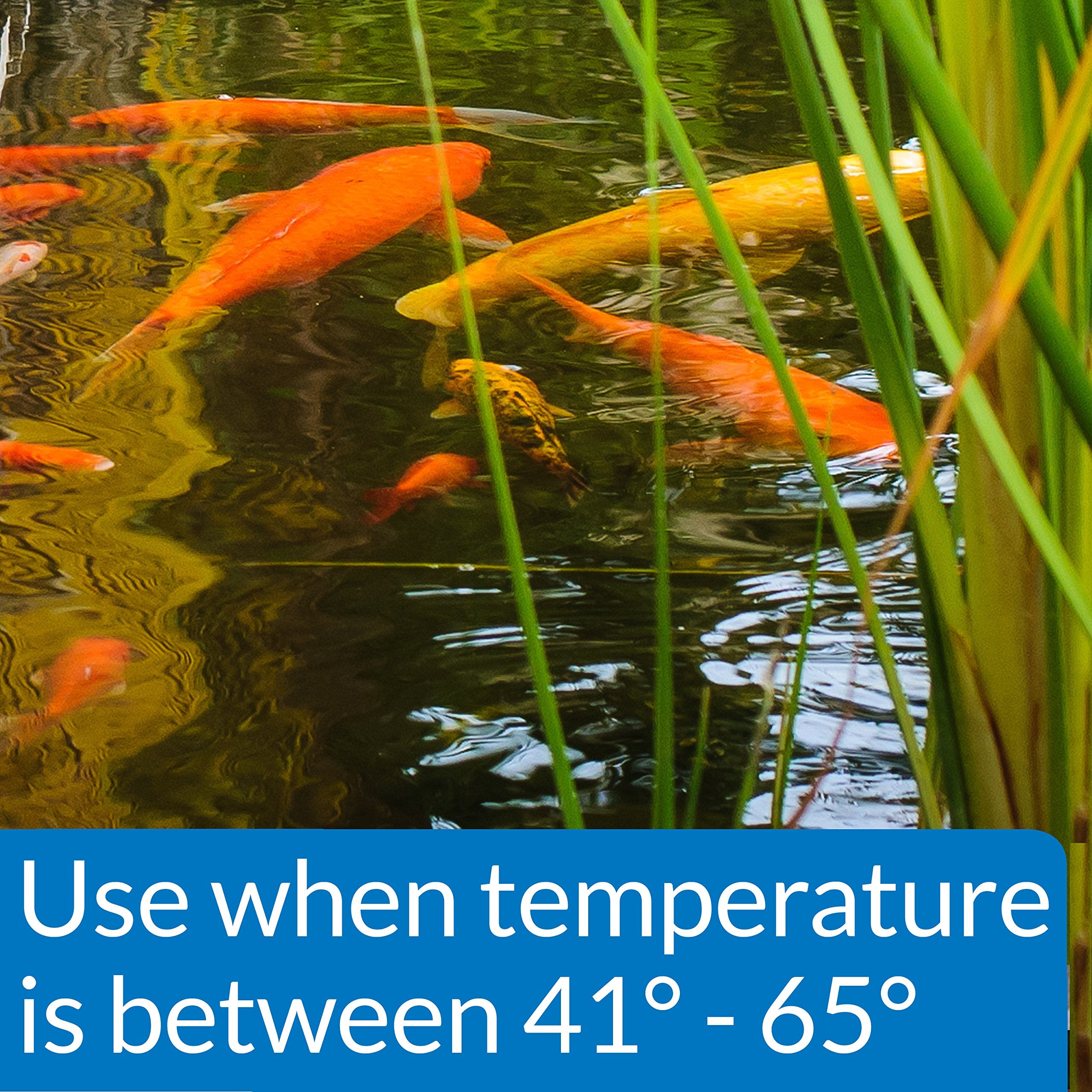API POND COOL WATER FOOD close-up emphasizes Zeolite and ammonia reduction potential.
