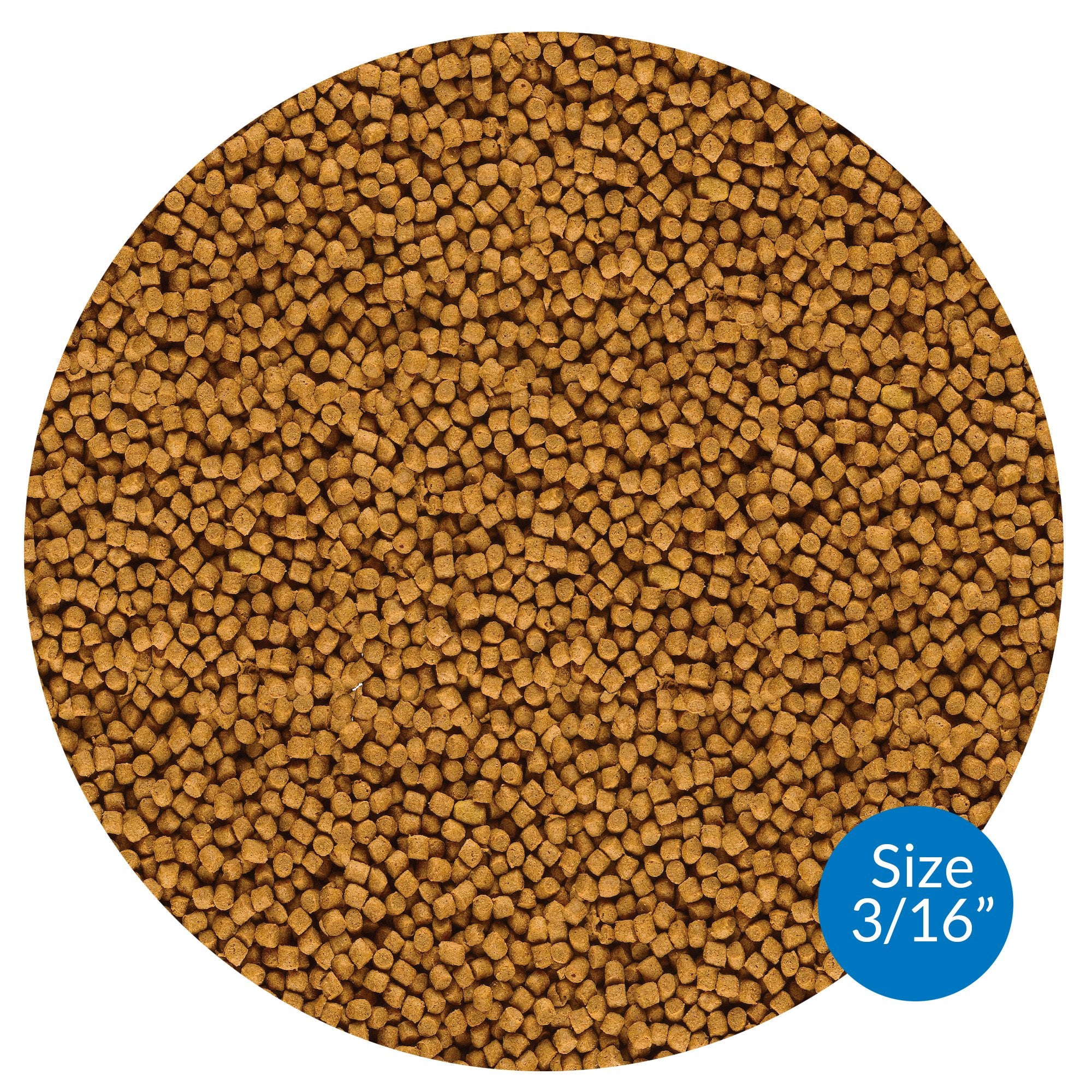 Close-up of API Pond Fish Food pellets highlighting protein nutrition.