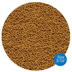 Close-up of API Pond Fish Food pellets highlighting protein nutrition.