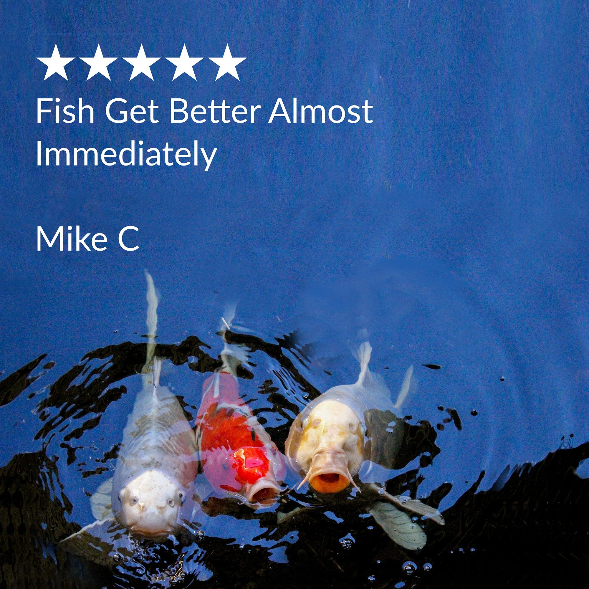Wildlife-safe pond care with MELAFIX, safe for snails and plants