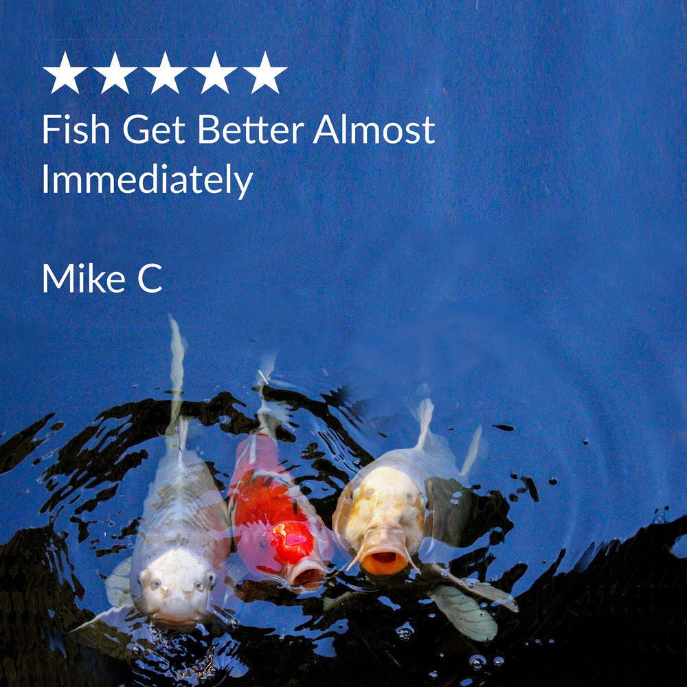 Wildlife-safe pond care with MELAFIX, safe for snails and plants