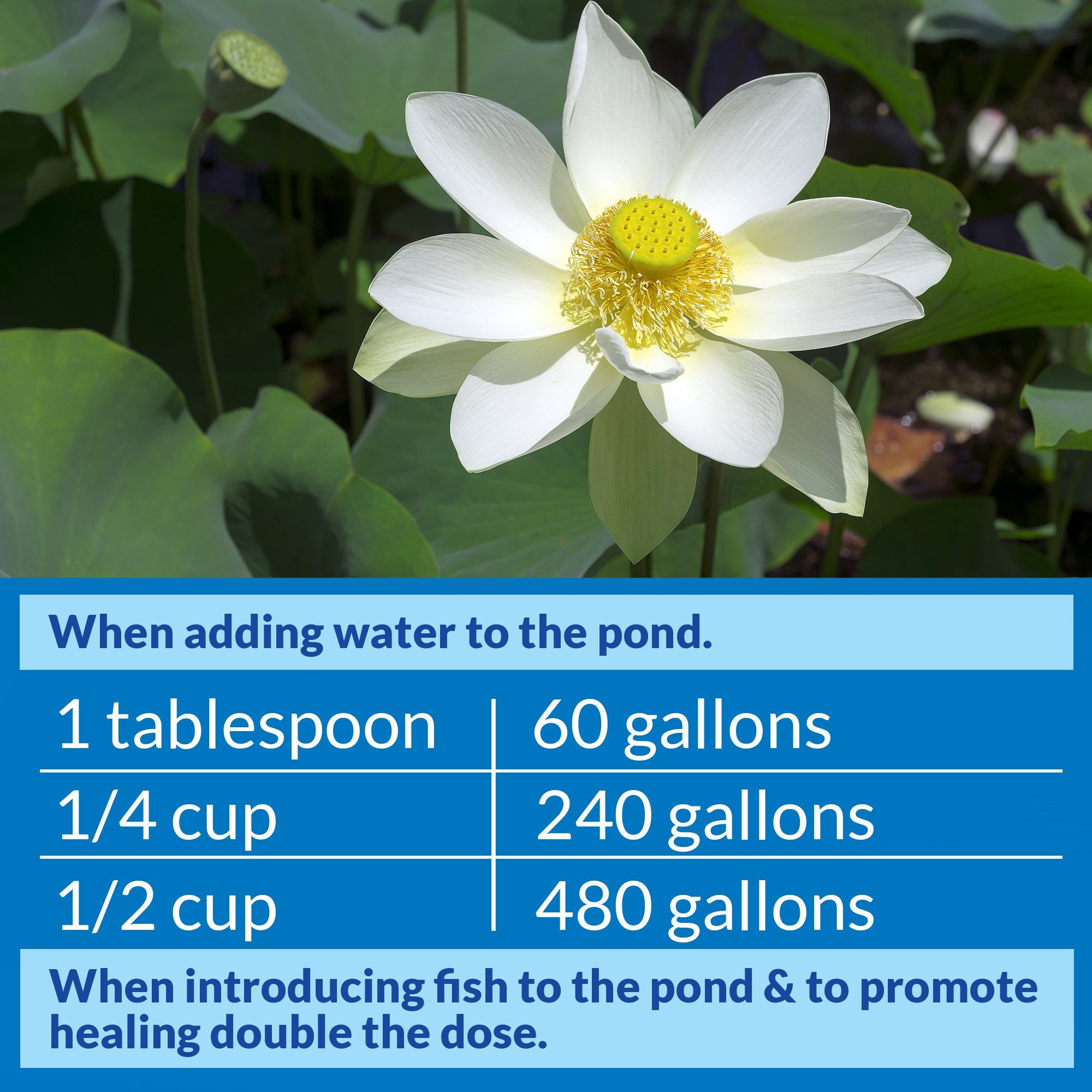 API Pond Stress Coat dosing graphic shows 120 ml per 480 gallons.