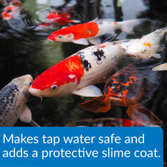 API Pond Stress Coat label closeup highlighting Aloe Vera formula for fish comfort.