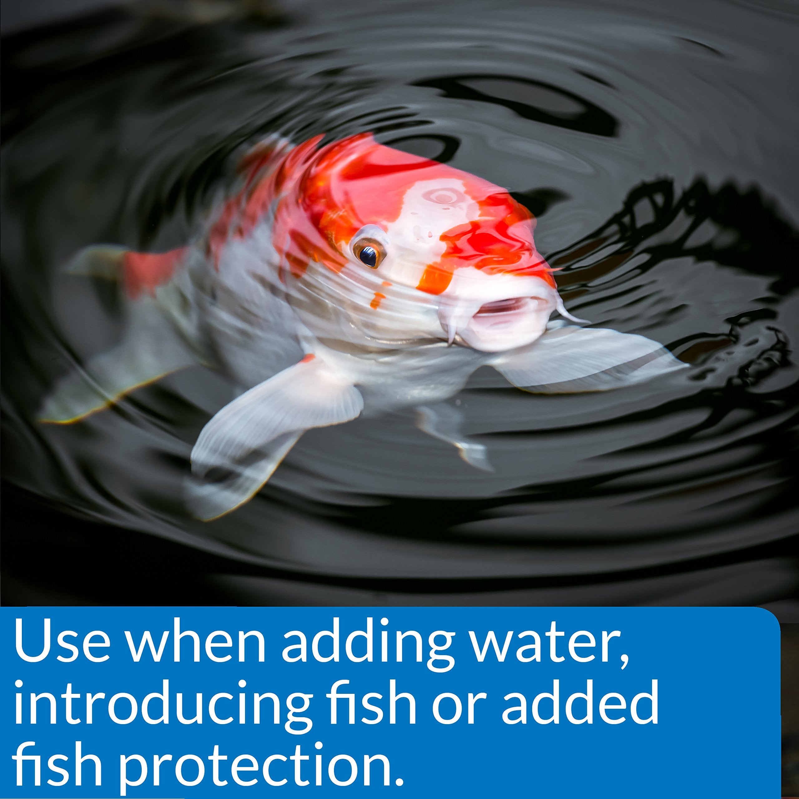API Pond Stress Coat pump-dispense demonstrates safe water conditioning for new fish.