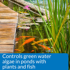 API PondCare biological inhibitor applied to keep pond water clean and odor-free.