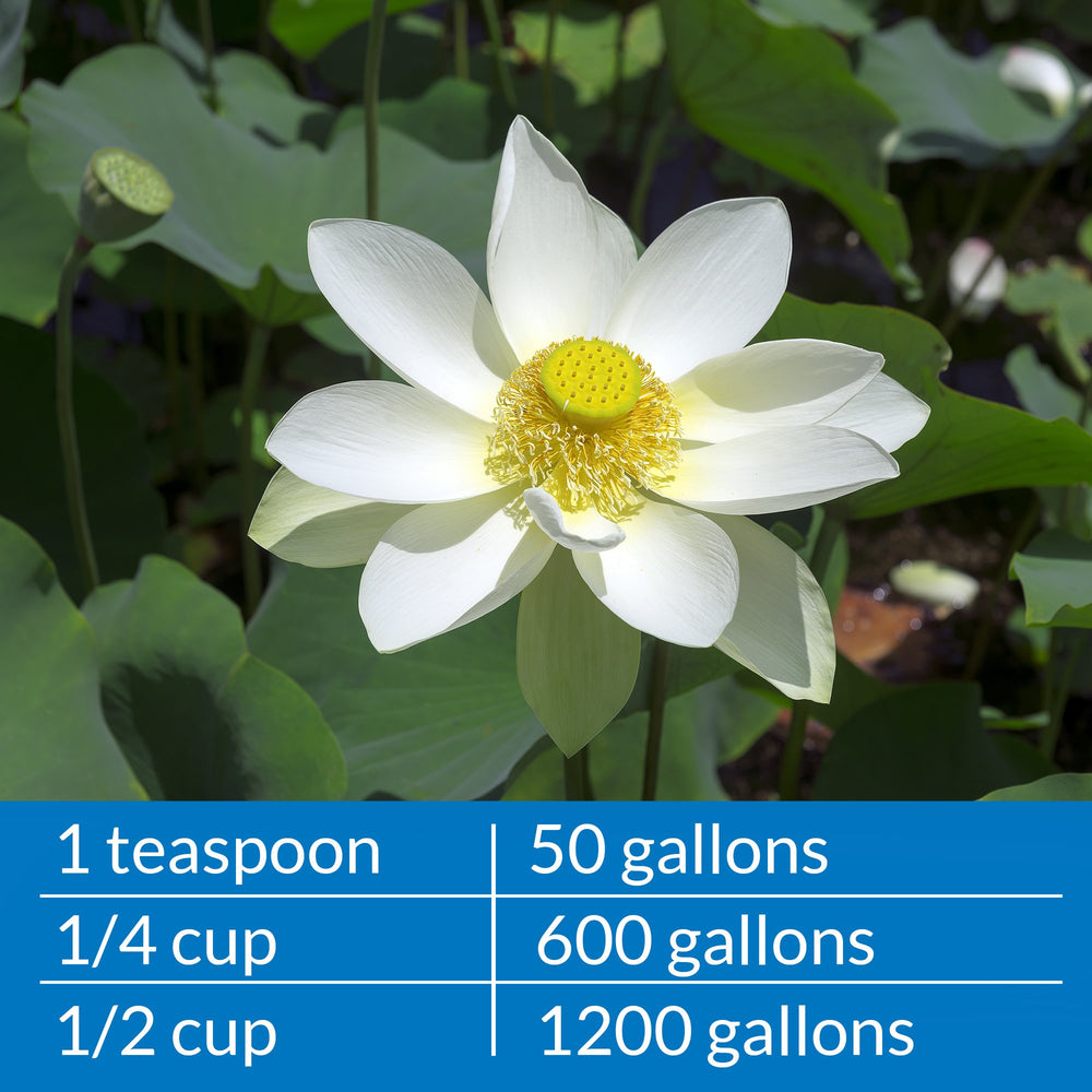 API PondCare solution helps balance pond biology for fish and plants with clarity.