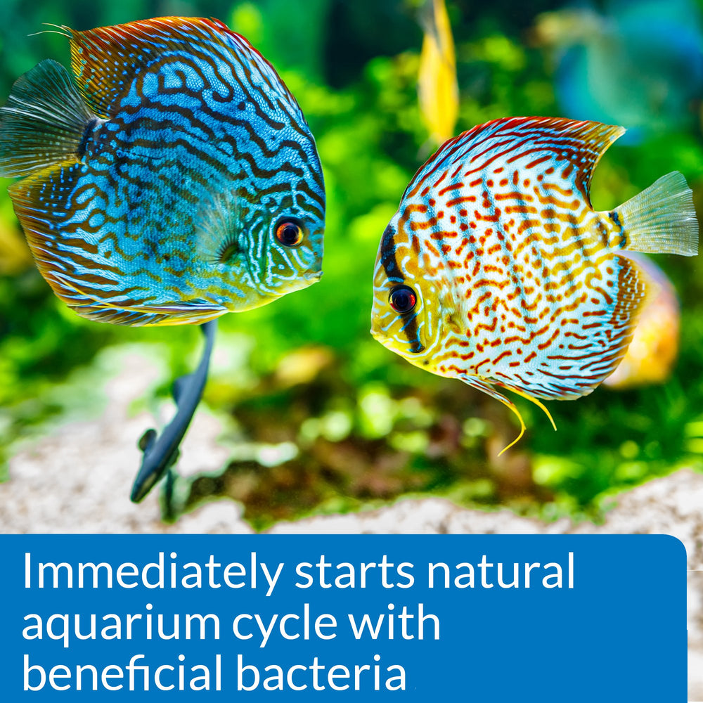 API Quick Start reduces ammonia and nitrite levels for healthier water