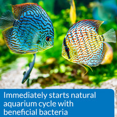 API Quick Start reduces ammonia and nitrite levels for healthier water