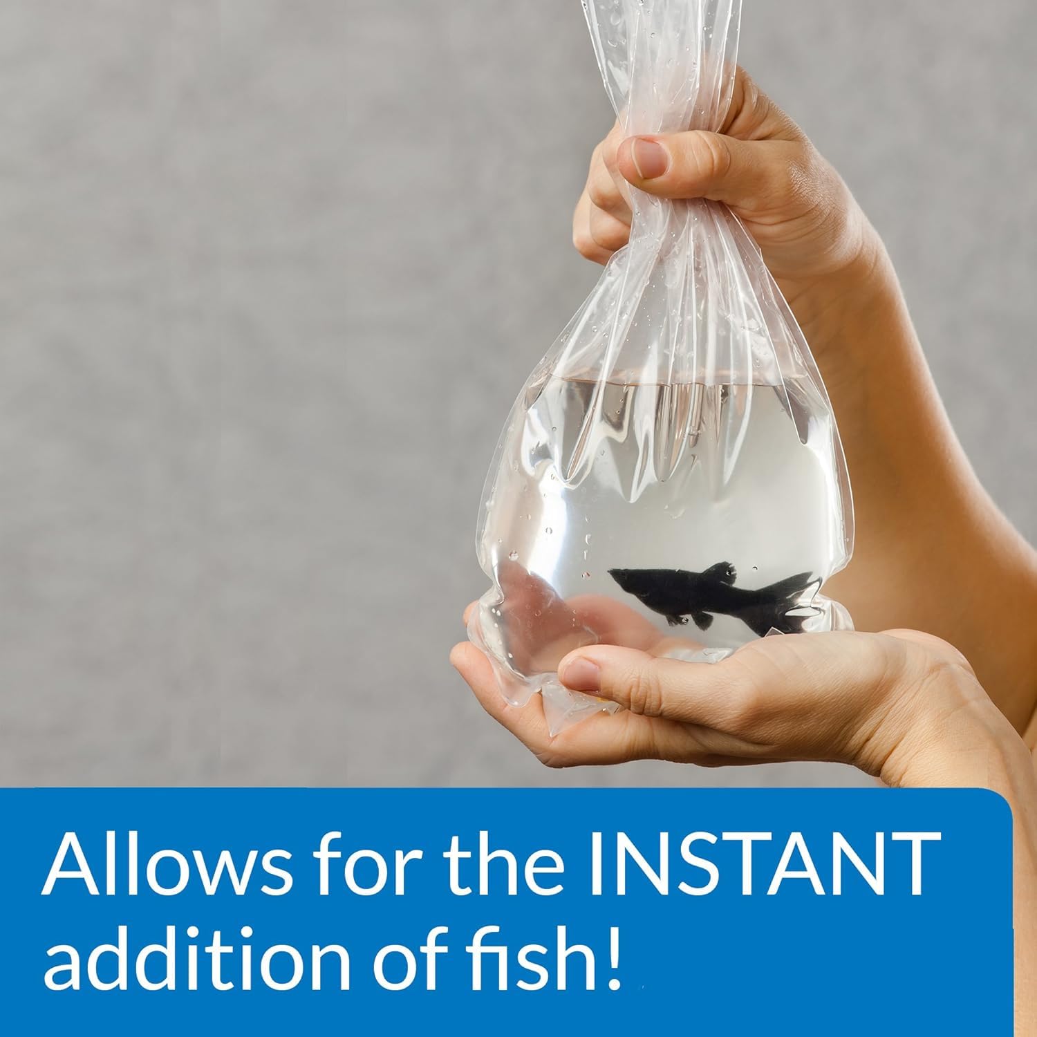 API Quick Start helps maintain an active filter and stable water conditions.