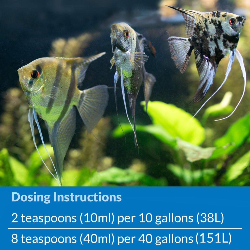 API Quick Start packaging includes instructions for new aquarium setup.