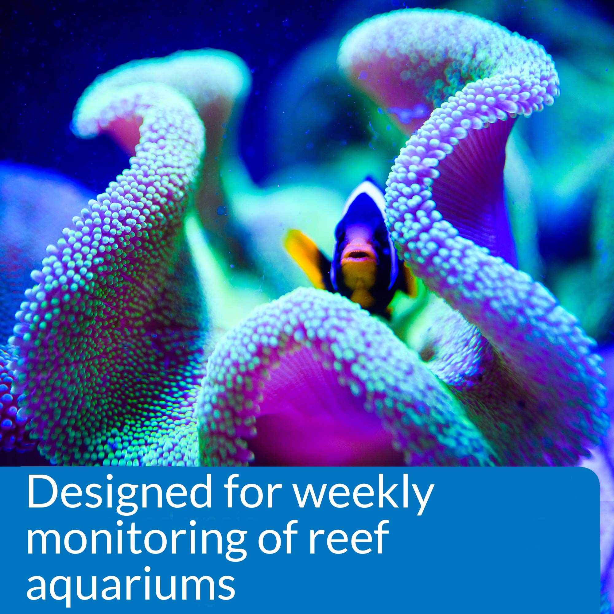 Color cards provide quick visual reference for parameter levels in reef tanks