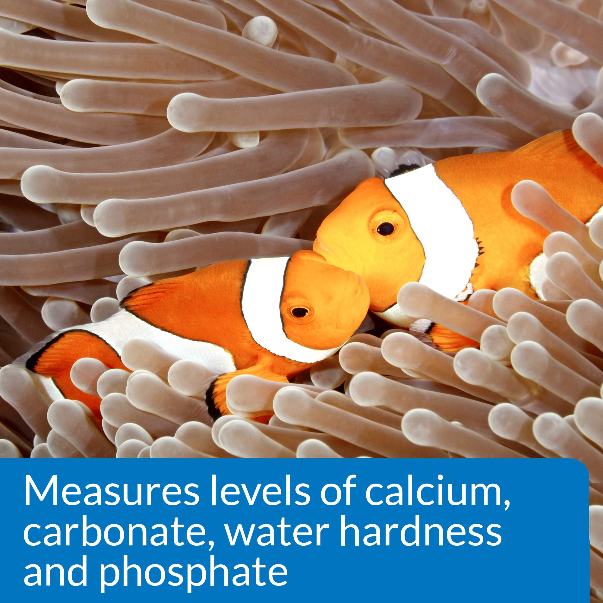 Using the kit in a reef aquarium helps monitor critical water parameters