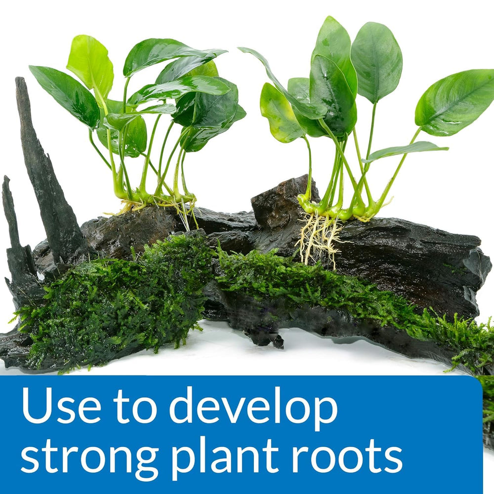API Root Tabs box back with usage details for vigorous plant growth.
