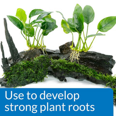 API Root Tabs box back with usage details for vigorous plant growth.